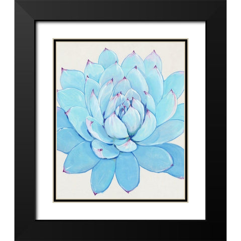 Pastel Succulent II Black Modern Wood Framed Art Print with Double Matting by OToole, Tim