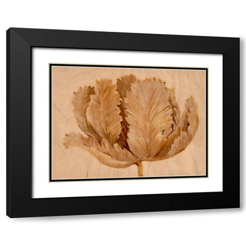 Sepia Tulip on Birch II Black Modern Wood Framed Art Print with Double Matting by OToole, Tim