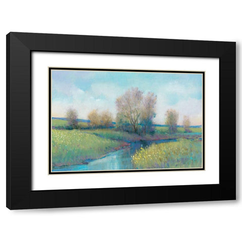 Hidden Stream I Black Modern Wood Framed Art Print with Double Matting by OToole, Tim