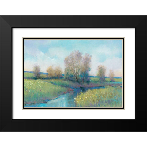 Hidden Stream I Black Modern Wood Framed Art Print with Double Matting by OToole, Tim