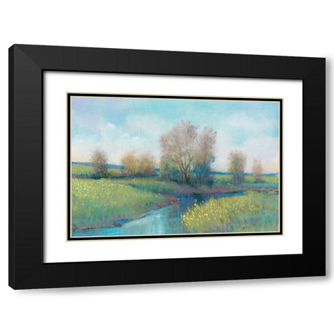 Hidden Stream I Black Modern Wood Framed Art Print with Double Matting by OToole, Tim