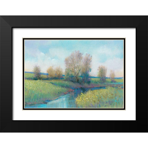 Hidden Stream I Black Modern Wood Framed Art Print with Double Matting by OToole, Tim