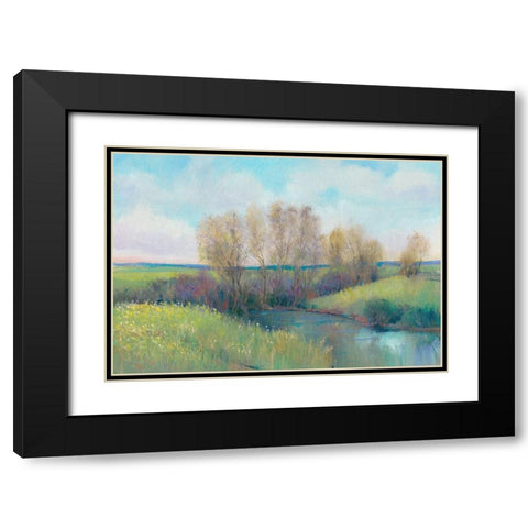 Hidden Stream II Black Modern Wood Framed Art Print with Double Matting by OToole, Tim