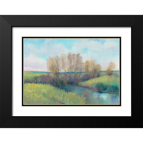 Hidden Stream II Black Modern Wood Framed Art Print with Double Matting by OToole, Tim