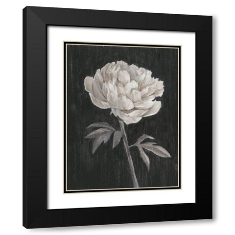Black and White Flowers I Black Modern Wood Framed Art Print with Double Matting by Harper, Ethan