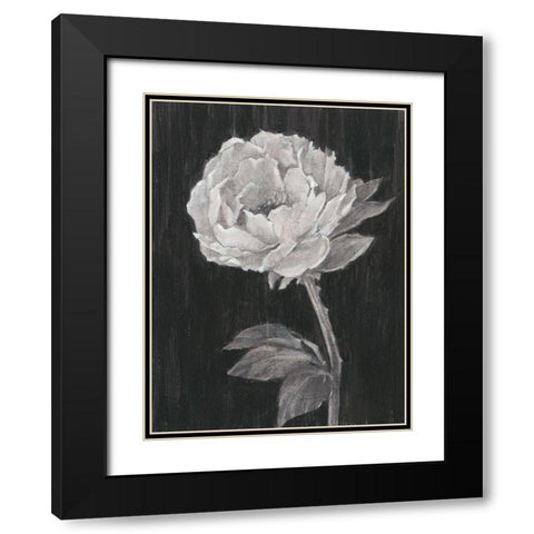 Black and White Flowers II Black Modern Wood Framed Art Print with Double Matting by Harper, Ethan