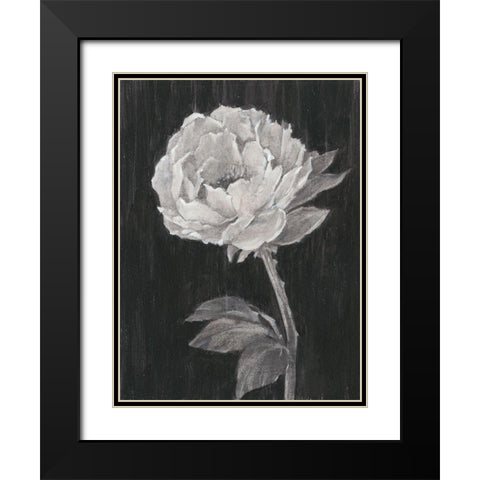 Black and White Flowers II Black Modern Wood Framed Art Print with Double Matting by Harper, Ethan