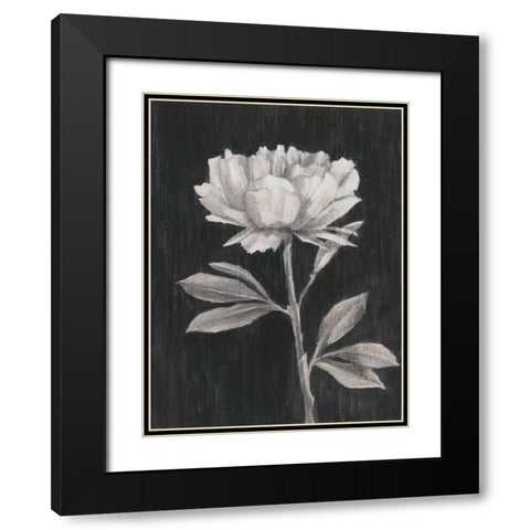 Black and White Flowers III Black Modern Wood Framed Art Print with Double Matting by Harper, Ethan