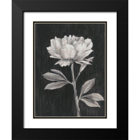 Black and White Flowers III Black Modern Wood Framed Art Print with Double Matting by Harper, Ethan