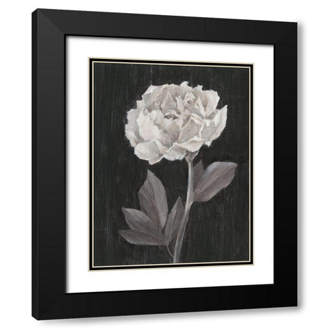 Black and White Flowers IV Black Modern Wood Framed Art Print with Double Matting by Harper, Ethan