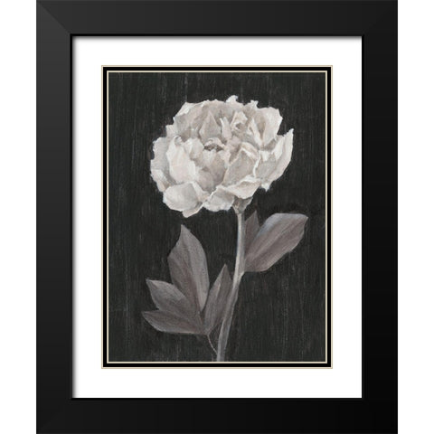 Black and White Flowers IV Black Modern Wood Framed Art Print with Double Matting by Harper, Ethan