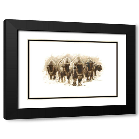 Herd of Bison I Black Modern Wood Framed Art Print with Double Matting by Harper, Ethan