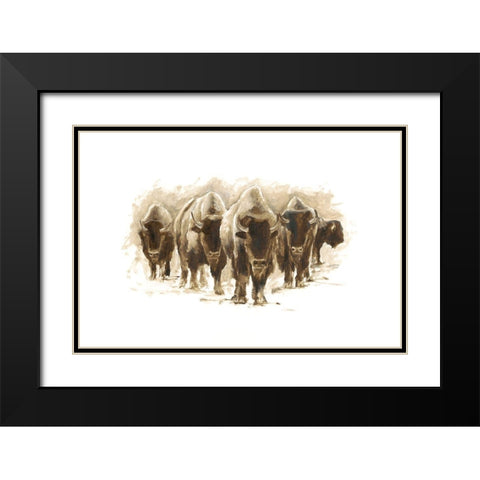 Herd of Bison I Black Modern Wood Framed Art Print with Double Matting by Harper, Ethan