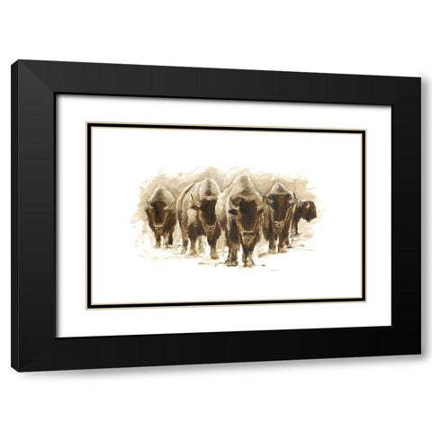 Herd of Bison I Black Modern Wood Framed Art Print with Double Matting by Harper, Ethan