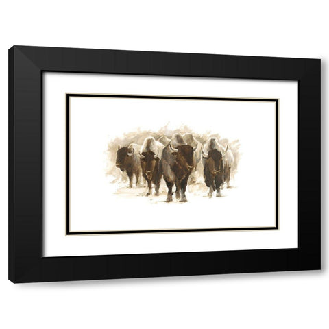 Herd of Bison II Black Modern Wood Framed Art Print with Double Matting by Harper, Ethan