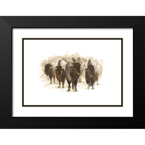 Herd of Bison II Black Modern Wood Framed Art Print with Double Matting by Harper, Ethan