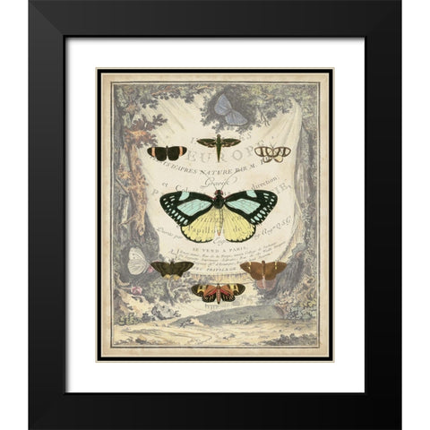 Vintage Butterfly Bookplate Black Modern Wood Framed Art Print with Double Matting by Vision Studio