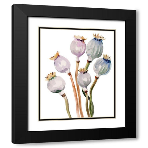 Watercolor Poppy Pods I Black Modern Wood Framed Art Print with Double Matting by Parker, Jennifer Paxton