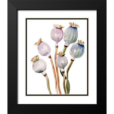 Watercolor Poppy Pods I Black Modern Wood Framed Art Print with Double Matting by Parker, Jennifer Paxton