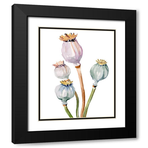 Watercolor Poppy Pods II Black Modern Wood Framed Art Print with Double Matting by Parker, Jennifer Paxton