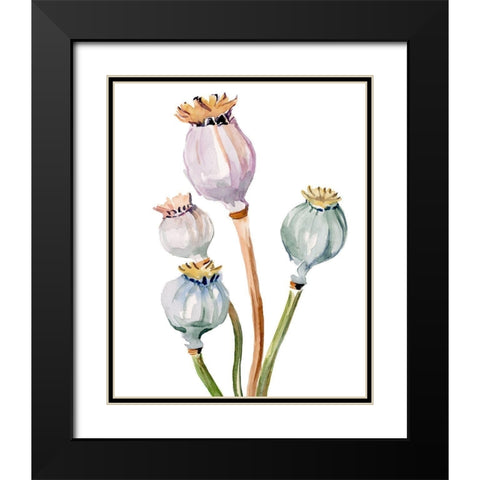 Watercolor Poppy Pods II Black Modern Wood Framed Art Print with Double Matting by Parker, Jennifer Paxton