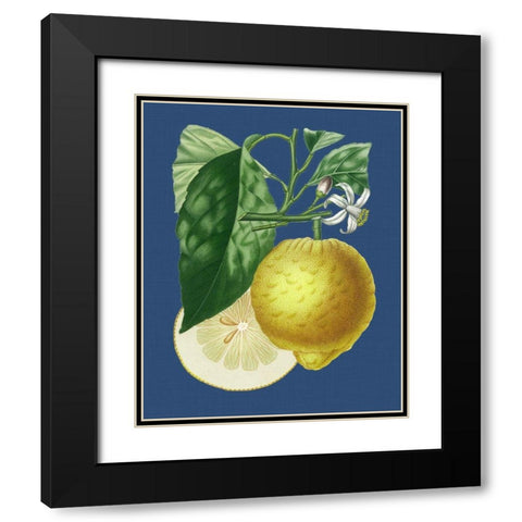 French Lemon on Navy I Black Modern Wood Framed Art Print with Double Matting by Risso, A.