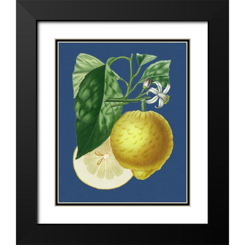French Lemon on Navy I Black Modern Wood Framed Art Print with Double Matting by Risso, A.