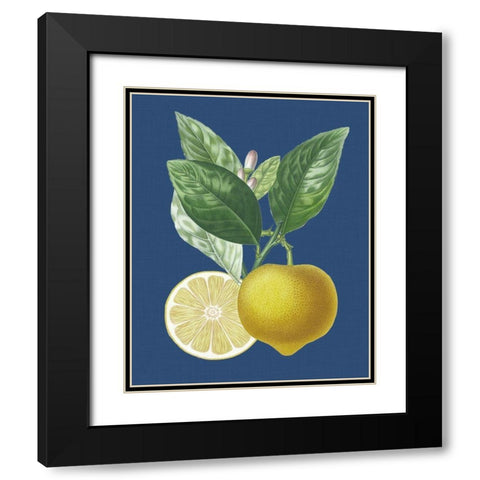 French Lemon on Navy II Black Modern Wood Framed Art Print with Double Matting by Risso, A.