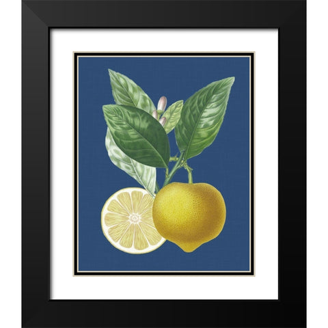 French Lemon on Navy II Black Modern Wood Framed Art Print with Double Matting by Risso, A.