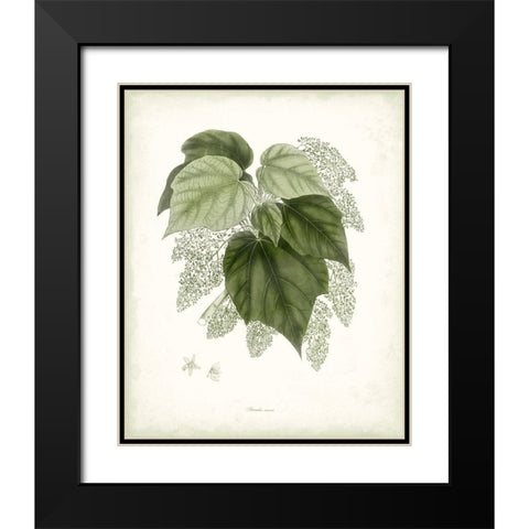 Sage Botanical III Black Modern Wood Framed Art Print with Double Matting by Vision Studio