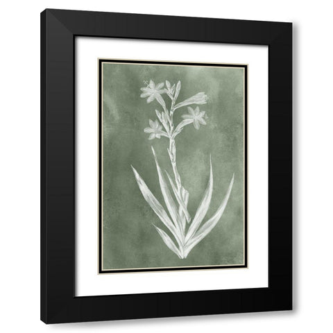 Sage Impressions V Black Modern Wood Framed Art Print with Double Matting by Vision Studio