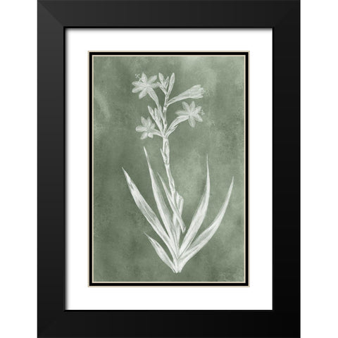 Sage Impressions V Black Modern Wood Framed Art Print with Double Matting by Vision Studio