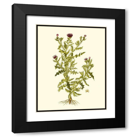 Olive Greenery II Black Modern Wood Framed Art Print with Double Matting by Unknown