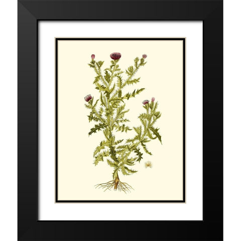 Olive Greenery II Black Modern Wood Framed Art Print with Double Matting by Unknown