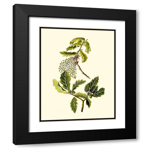 Olive Greenery III Black Modern Wood Framed Art Print with Double Matting by Unknown