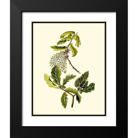 Olive Greenery III Black Modern Wood Framed Art Print with Double Matting by Unknown