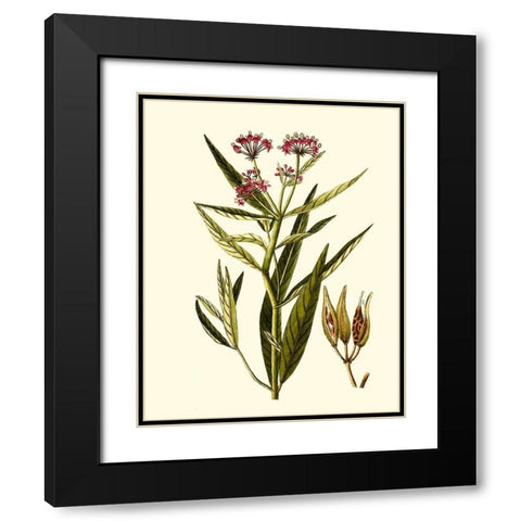 Olive Greenery VIII Black Modern Wood Framed Art Print with Double Matting by Unknown
