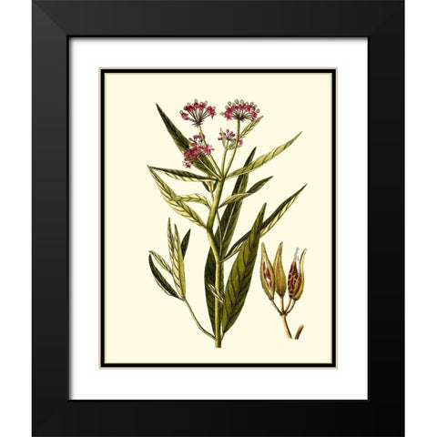 Olive Greenery VIII Black Modern Wood Framed Art Print with Double Matting by Unknown