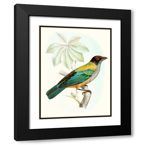 On Perch III Black Modern Wood Framed Art Print with Double Matting by Unknown