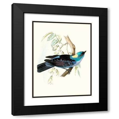 On Perch VII Black Modern Wood Framed Art Print with Double Matting by Unknown
