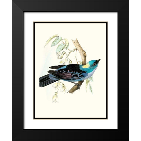 On Perch VII Black Modern Wood Framed Art Print with Double Matting by Unknown