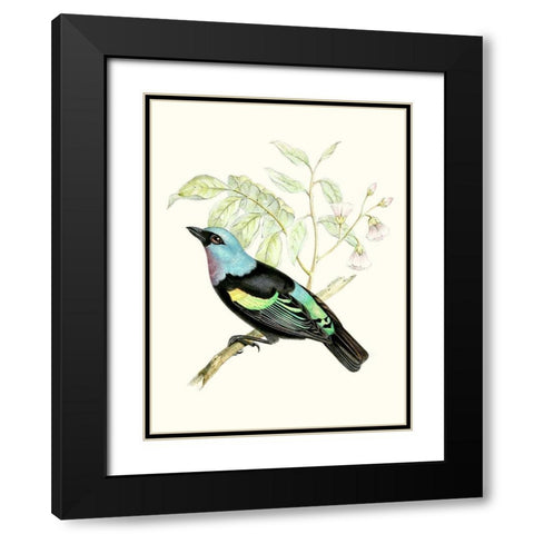 On Perch X Black Modern Wood Framed Art Print with Double Matting by Unknown