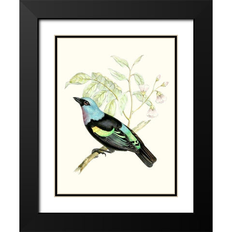 On Perch X Black Modern Wood Framed Art Print with Double Matting by Unknown