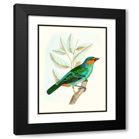 On Perch XI Black Modern Wood Framed Art Print with Double Matting by Unknown