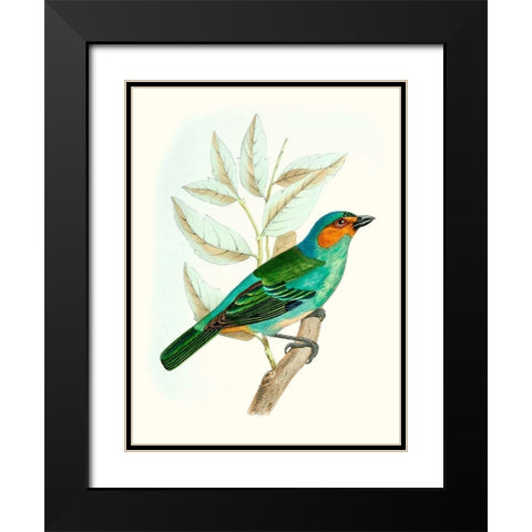 On Perch XI Black Modern Wood Framed Art Print with Double Matting by Unknown