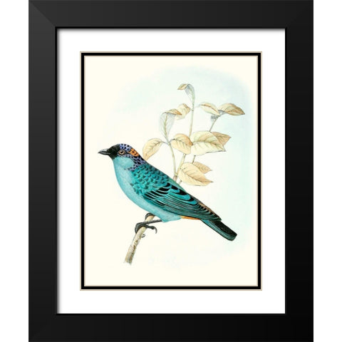 On Perch XII Black Modern Wood Framed Art Print with Double Matting by Unknown