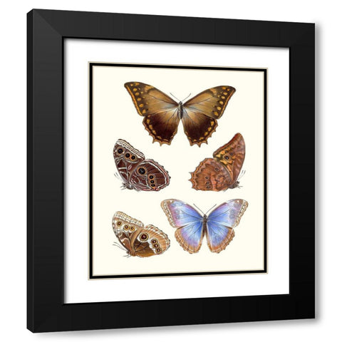 Violet Butterflies I Black Modern Wood Framed Art Print with Double Matting by Unknown