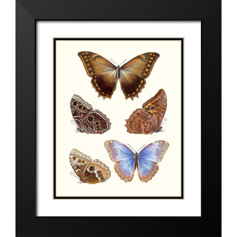 Violet Butterflies I Black Modern Wood Framed Art Print with Double Matting by Unknown