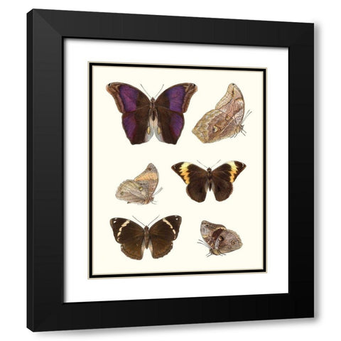 Violet Butterflies II Black Modern Wood Framed Art Print with Double Matting by Unknown
