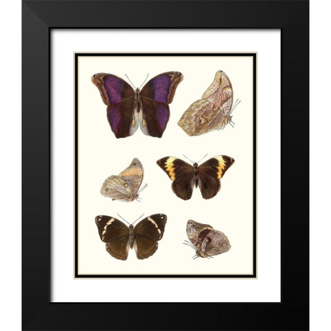 Violet Butterflies II Black Modern Wood Framed Art Print with Double Matting by Unknown